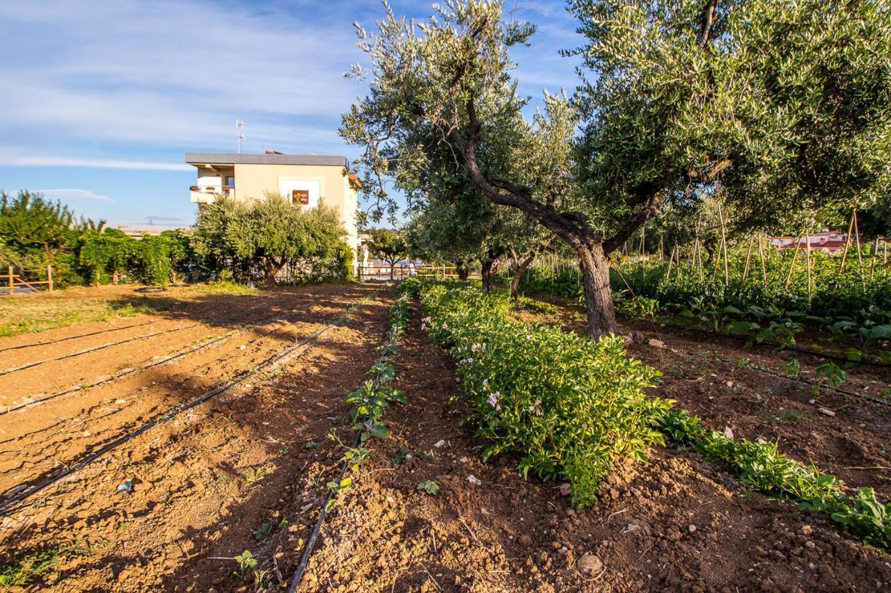 Il Gallo Con Gli Stivali Termoli Exterior foto