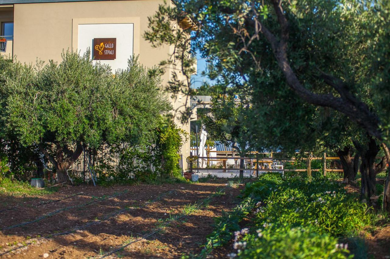 Il Gallo Con Gli Stivali Termoli Exterior foto